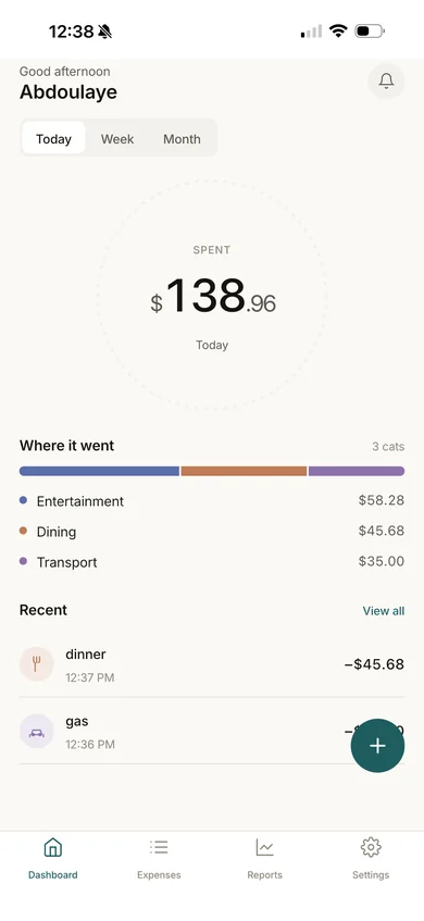 The OwlPocket dashboard: $138.96 spent today, split across entertainment, dining and transport, with recent expenses underneath.
